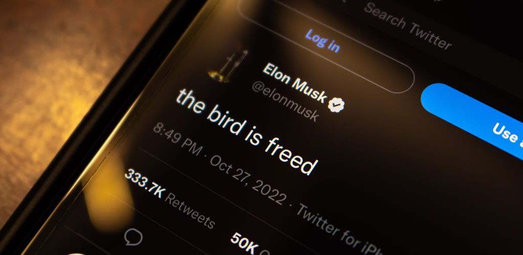 Twitter and Elon Musk: Why free speech absolutism threatens human rights