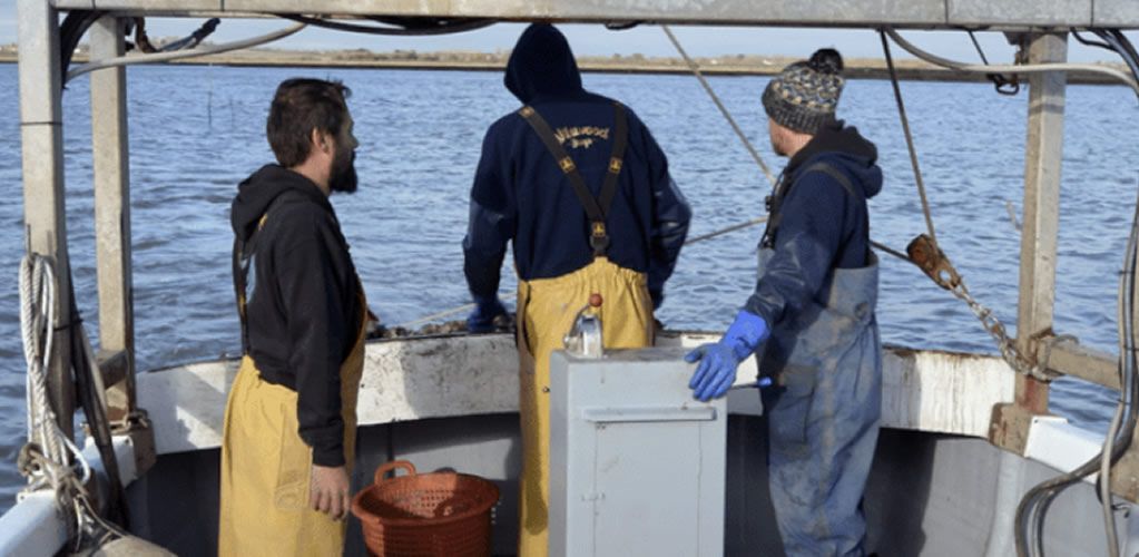 Oyster farm under threat from sewage dumping