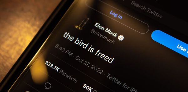 Twitter and Elon Musk: Why free speech absolutism threatens human rights