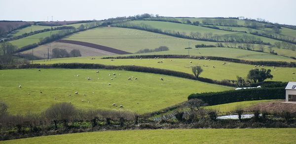 Brexit Britain: Grow-your-own-salad country vs start-up nation